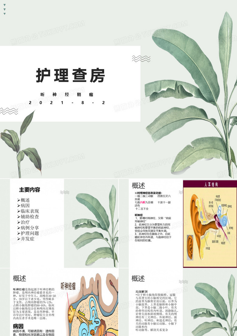 听神经瘤护理查房