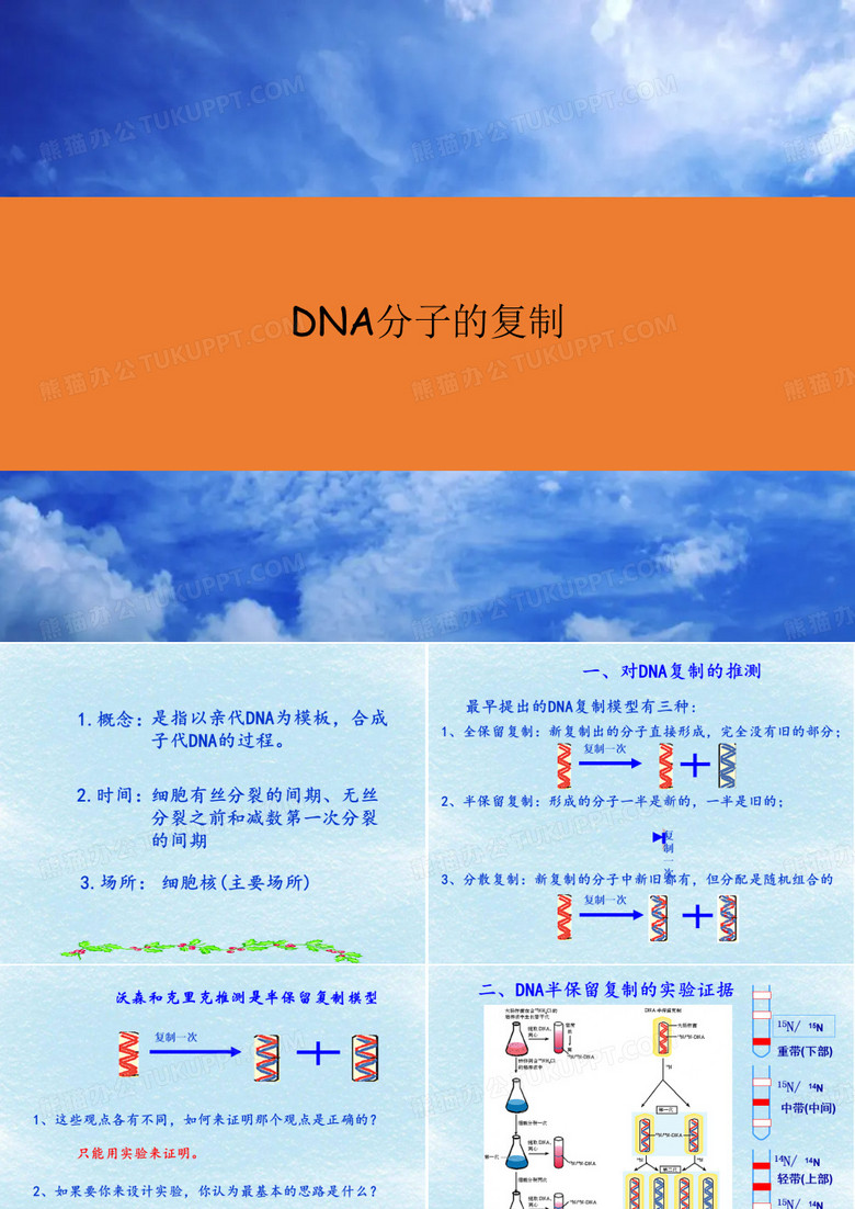 DNA分子的复制