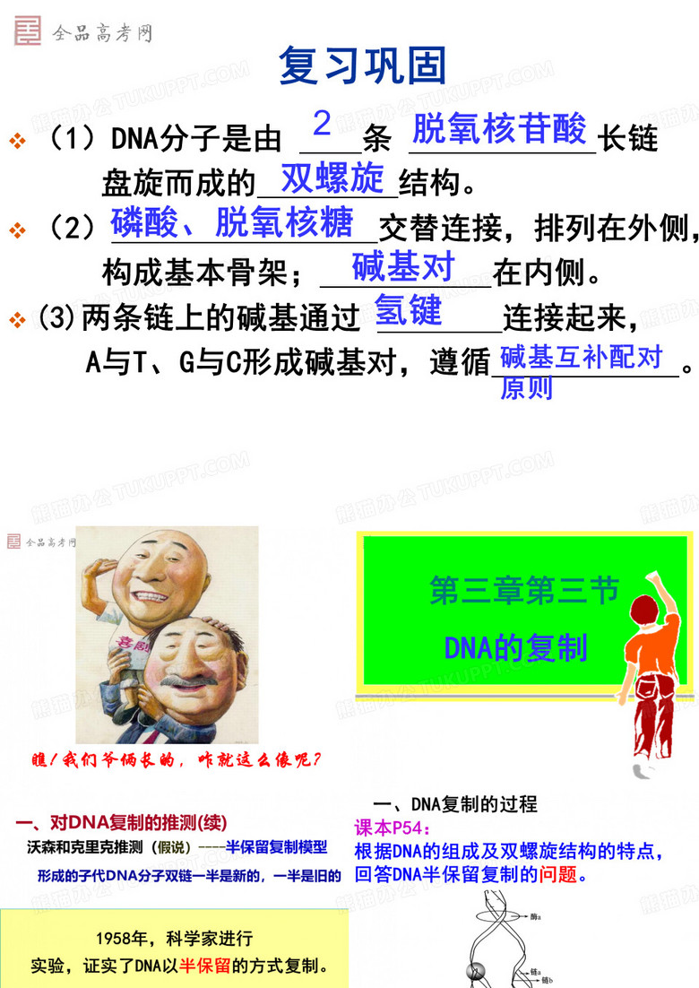 DNA分子的复制__公开课