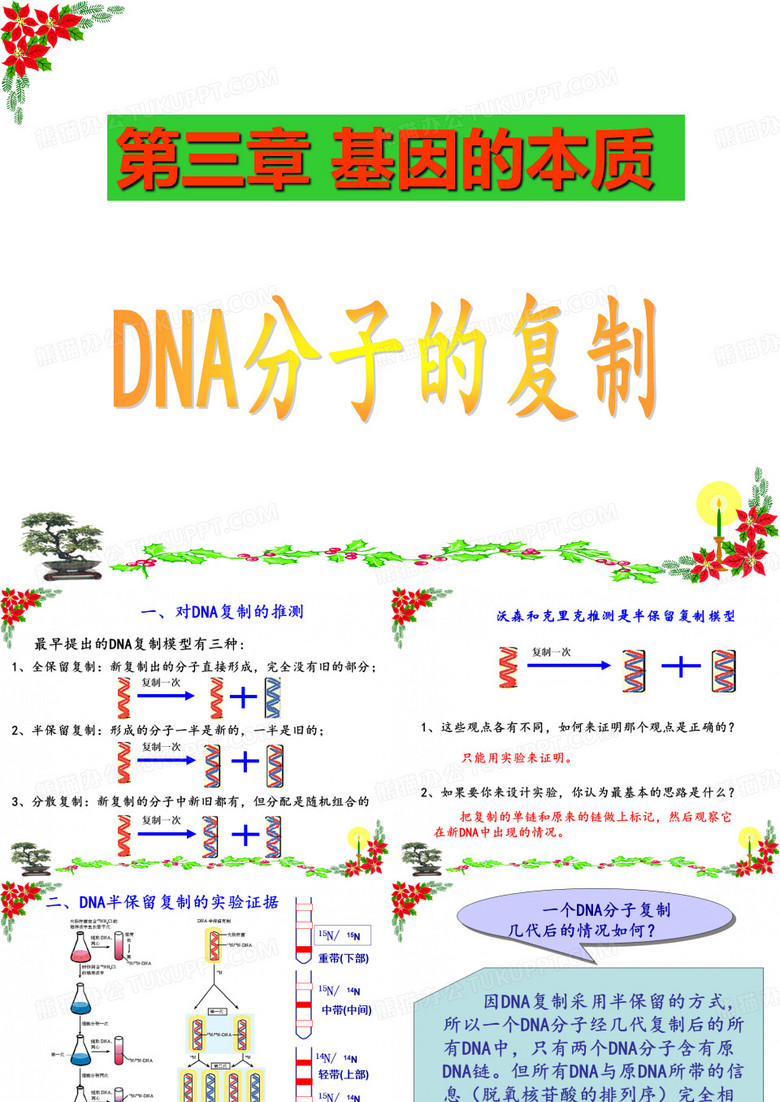 DNA分子的复制(课堂)