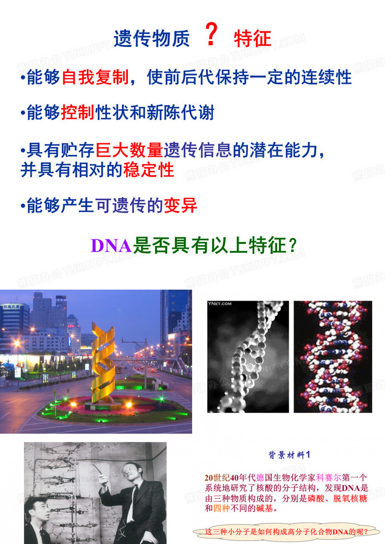 DNA分子结构及复制