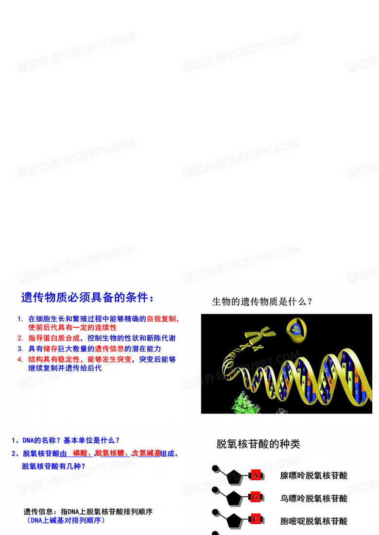 DNA分子结构与复制