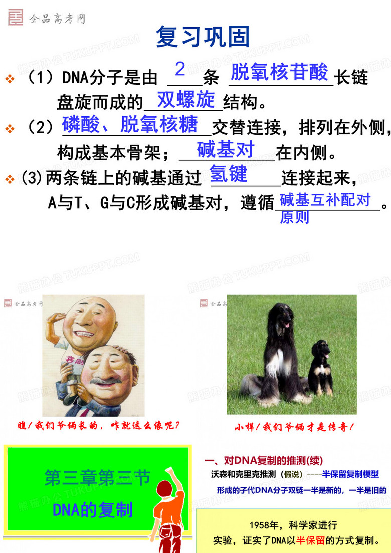 DNA分子的复制__公开课