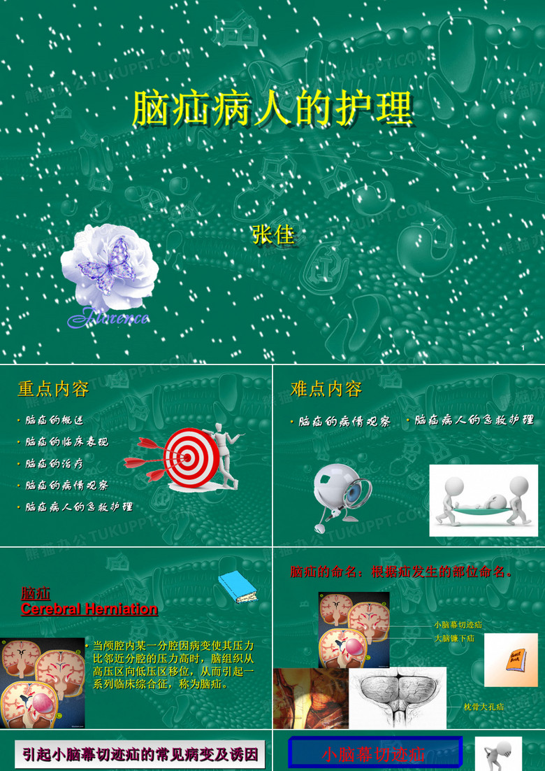 脑疝病人的护理