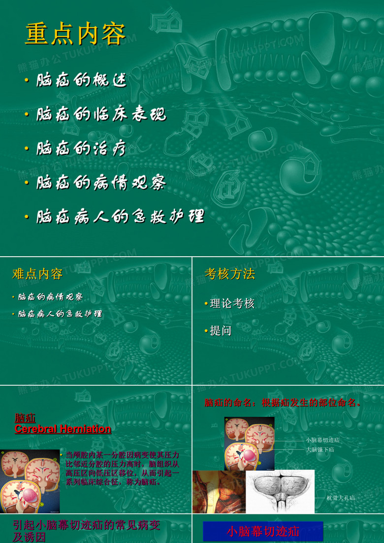 脑疝病人的护理