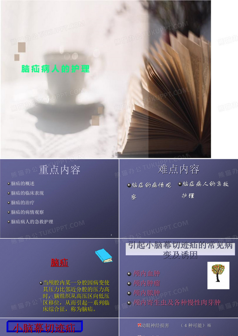 脑疝病人的护理