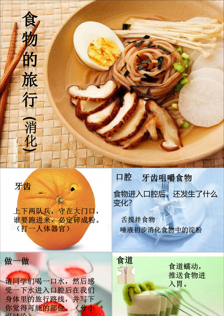 食物的旅行