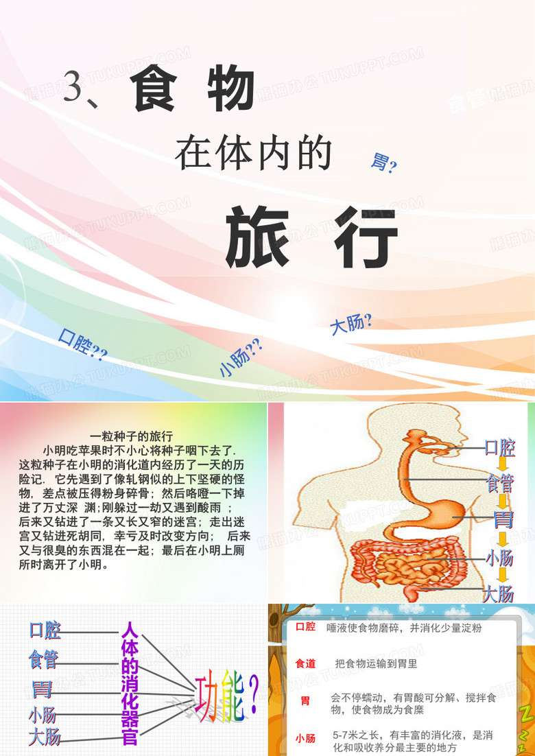 食物在体内的旅行