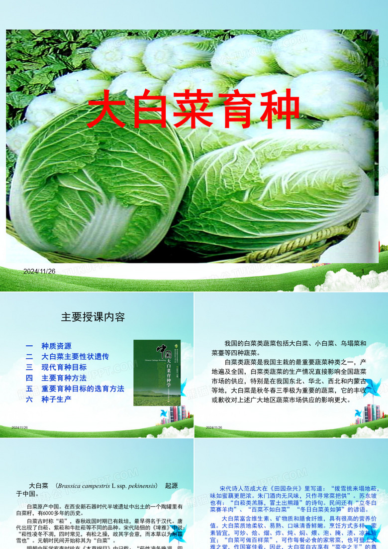 大白菜育种PPT