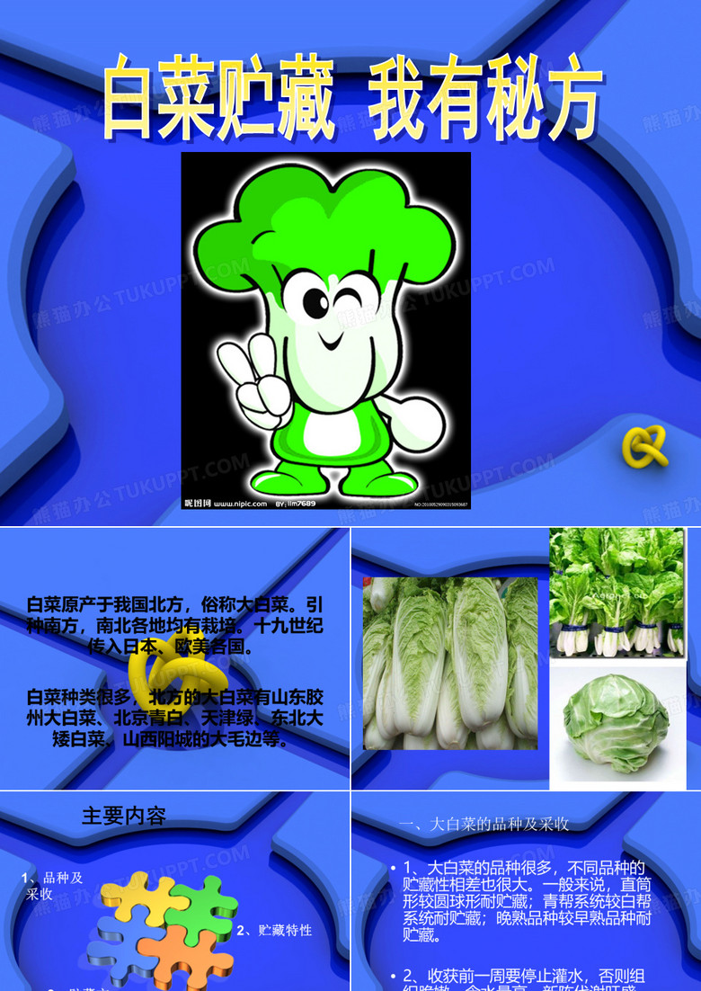 大白菜贮藏方法