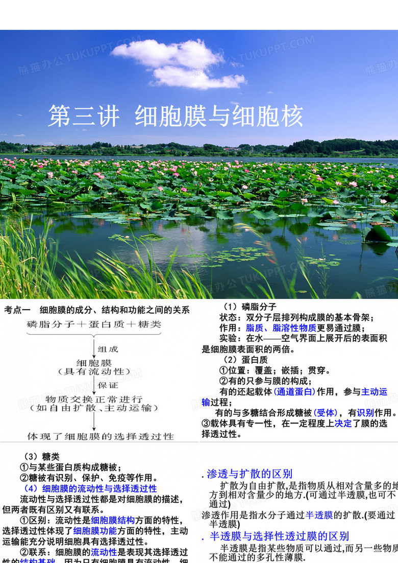 内质网高尔基体