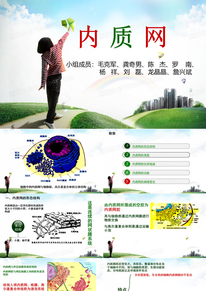 细胞生物学内质网