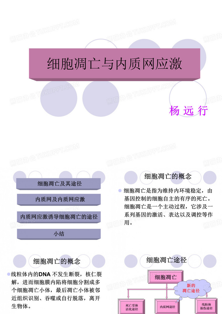 内质网应激与细胞凋亡