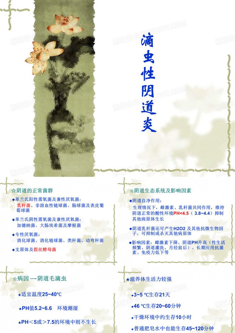 阴道炎 宫颈炎