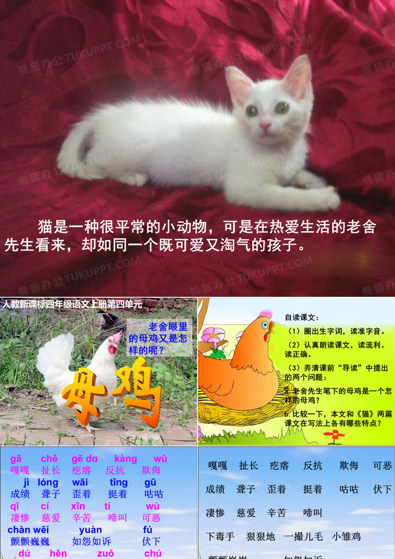 《母鸡》教学课件