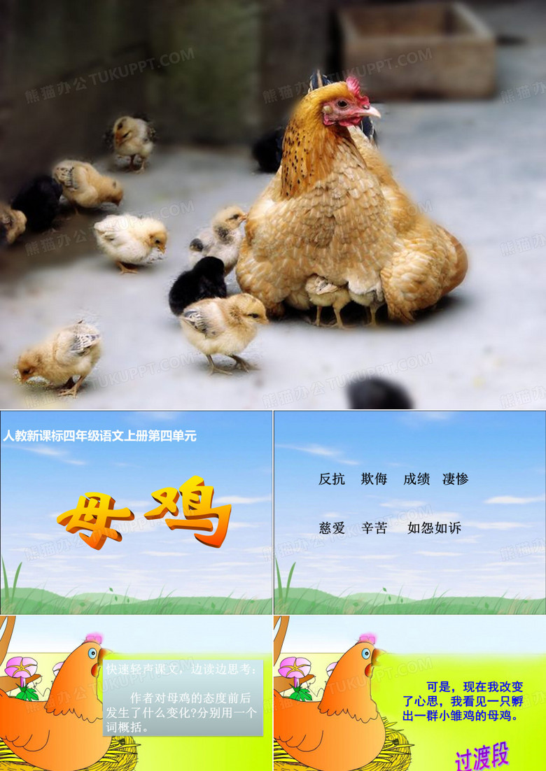 《母鸡》教学课件