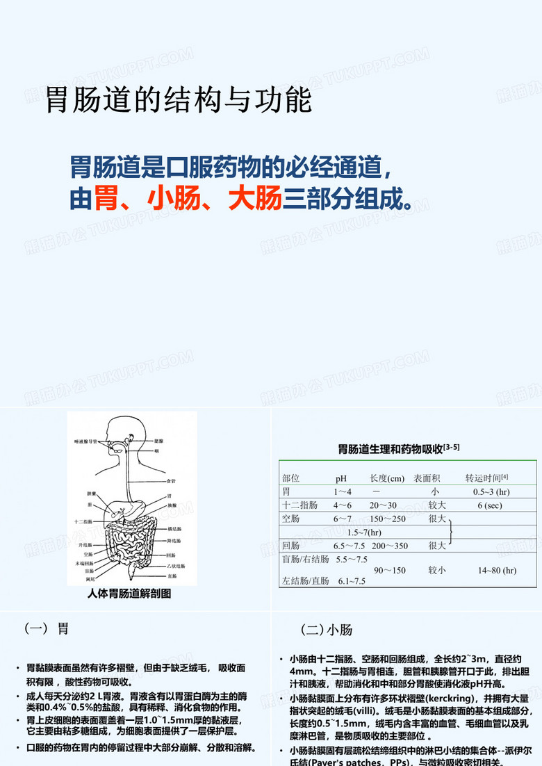 胃肠道的结构与功能