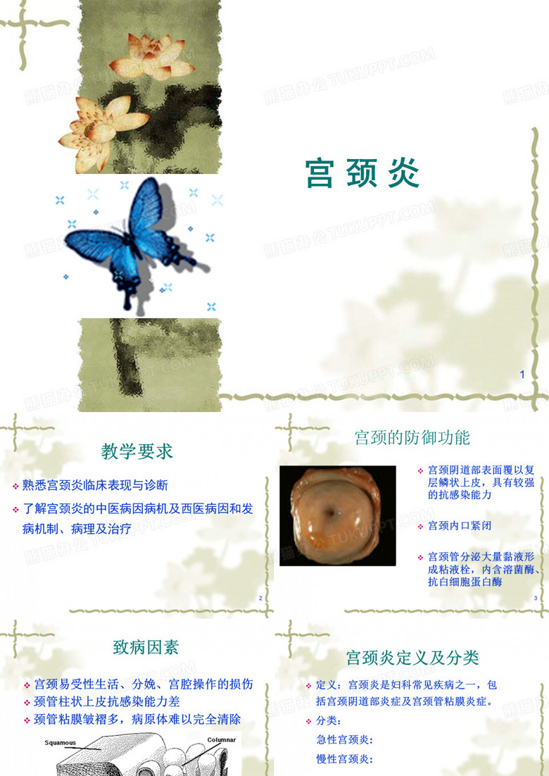 宫颈炎ppt课件