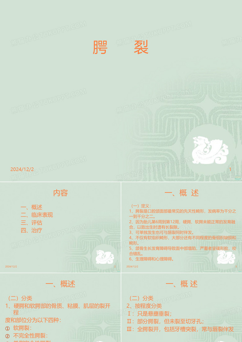 腭裂PPT课件