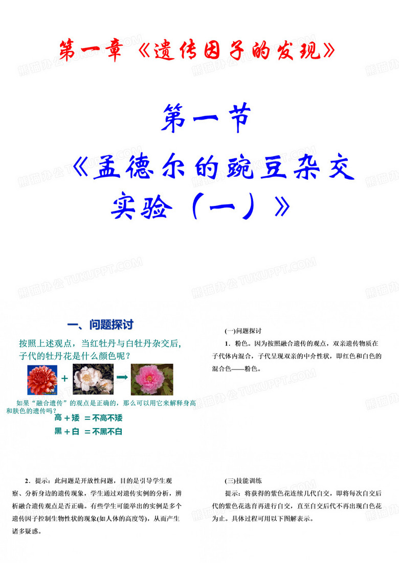 分离定律