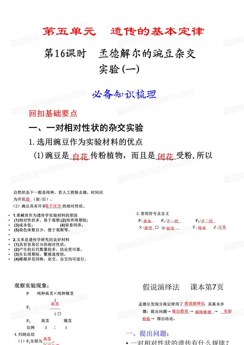 基因的分离定律