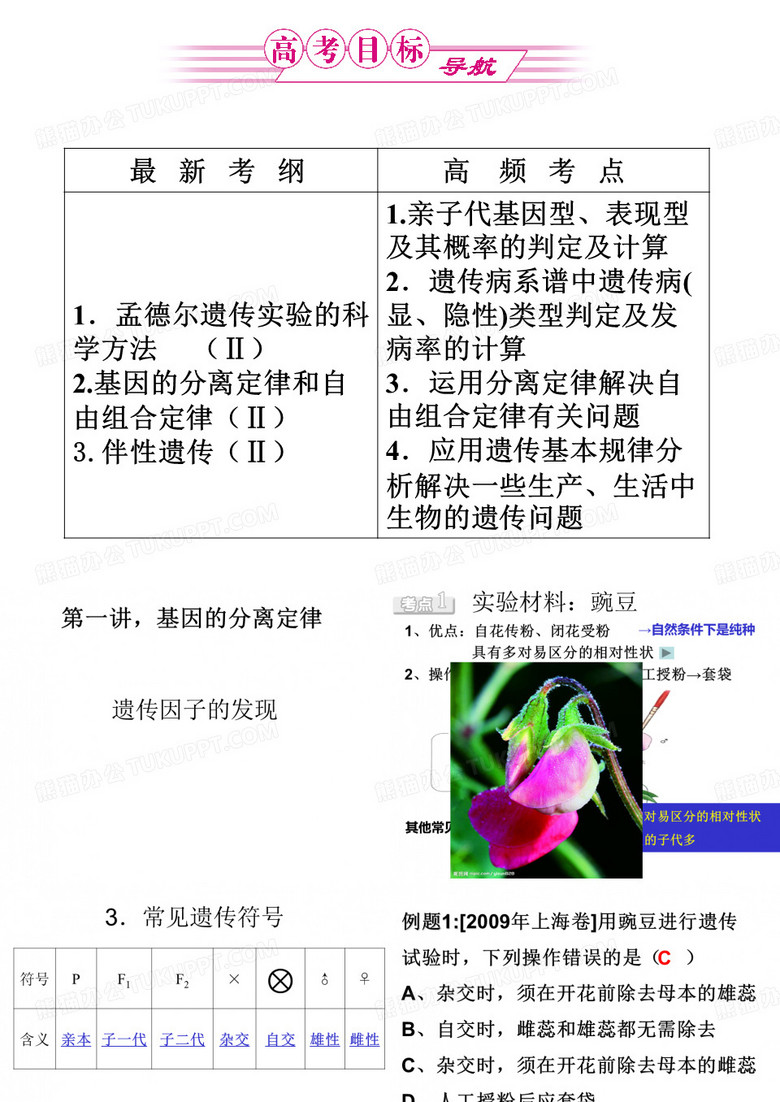 基因的分离定律
