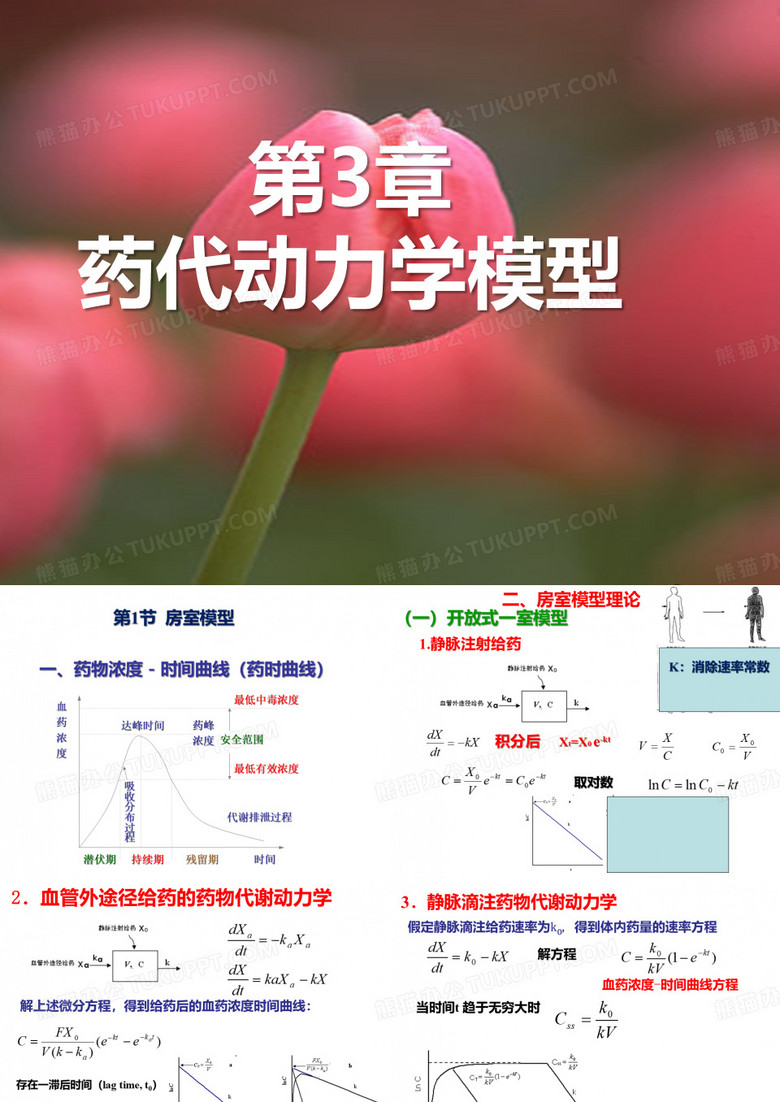 药代动力学