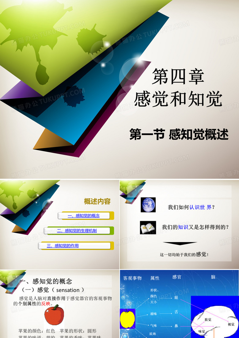 感知觉概述
