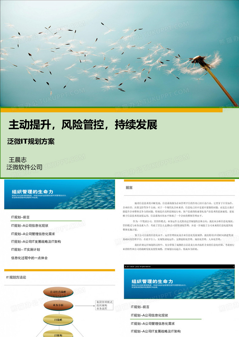 泛微-IT规划方案