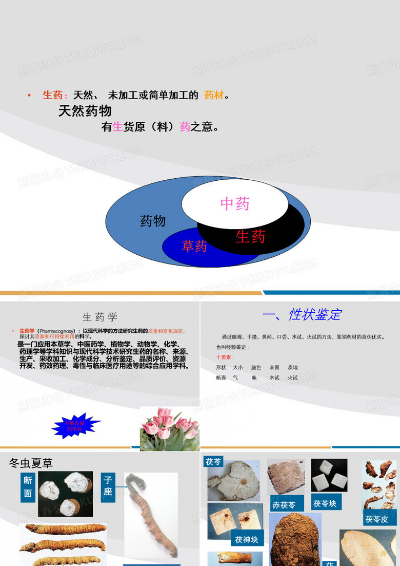 生药学复习重点(广药药学2009级)