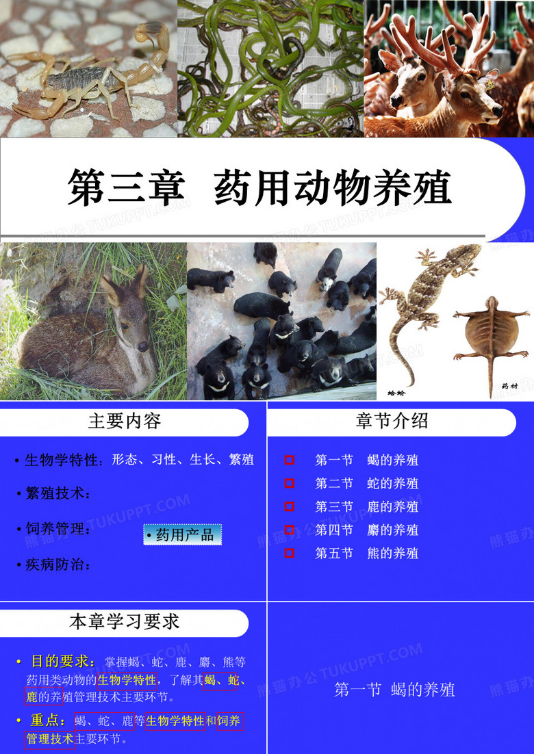【2019-2020年整理】第三章__药用动物养殖介绍及第一节蝎子的养殖