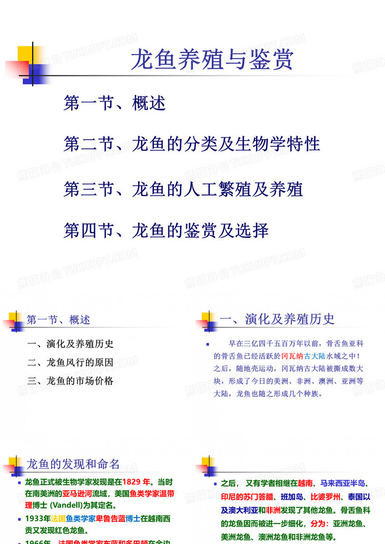 龙鱼养殖与鉴赏ppt课件