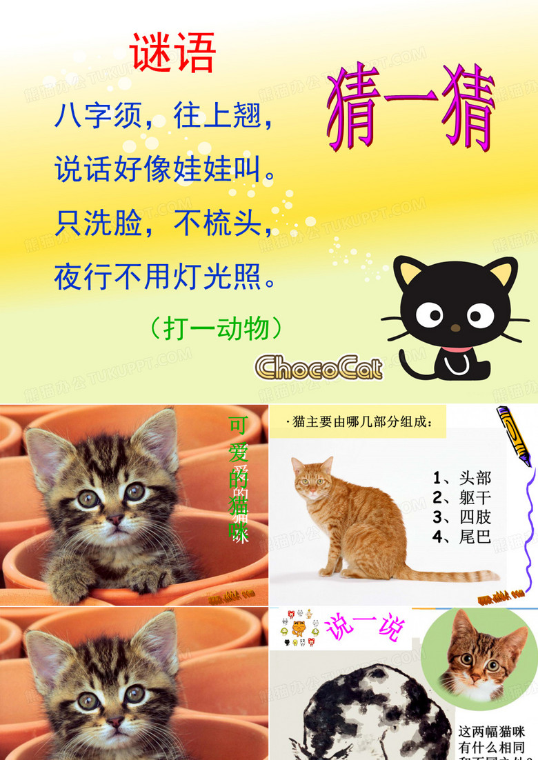 创意空间美术课件《可爱的猫》