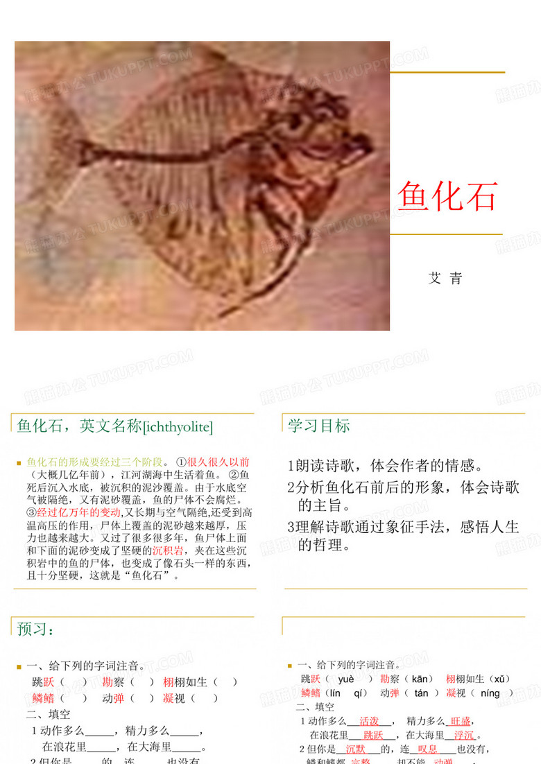 《鱼化石》   课件
