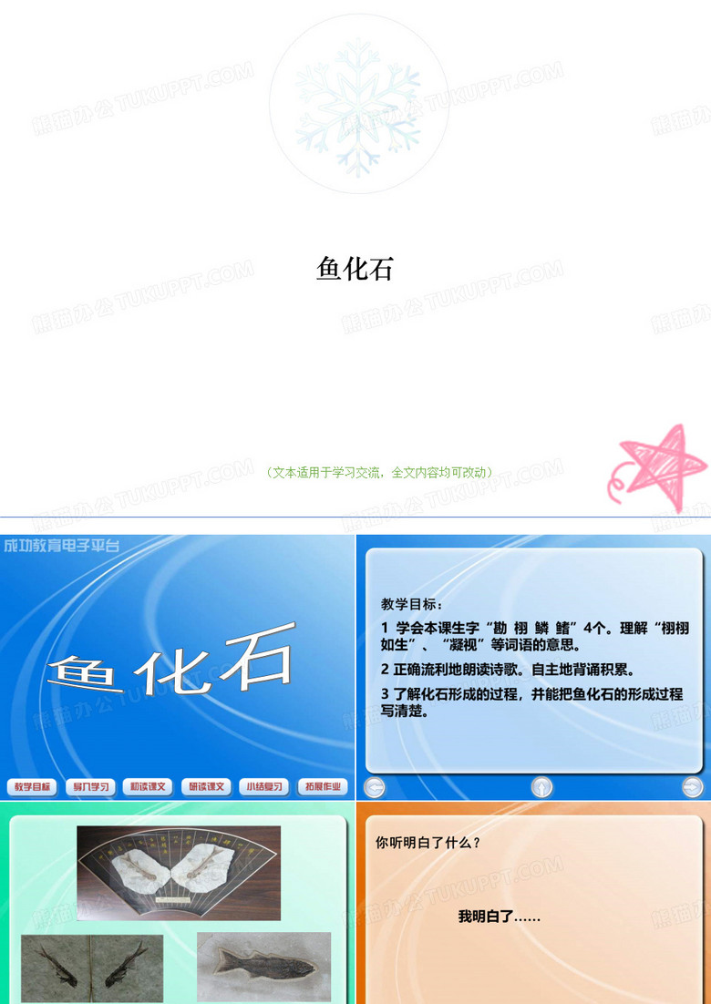 鱼化石(优质版)教学ppt课件