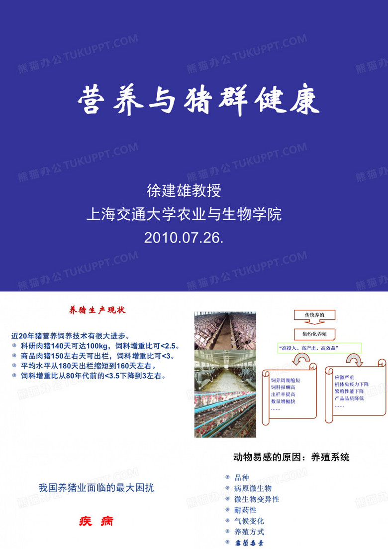 营养与猪群健康