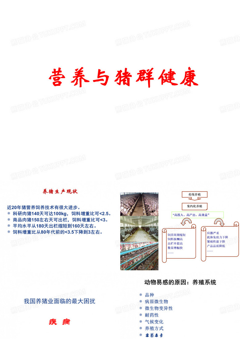猪群健康与营养