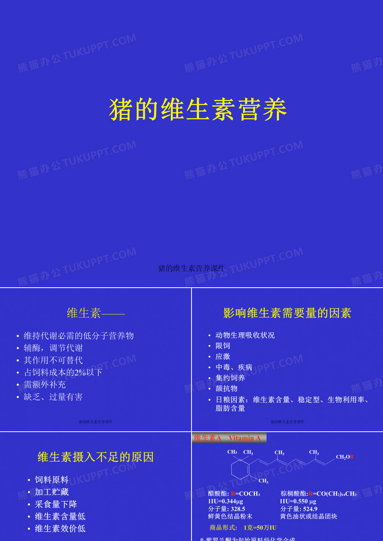 猪的维生素营养课件