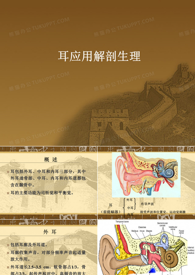 耳解剖生理