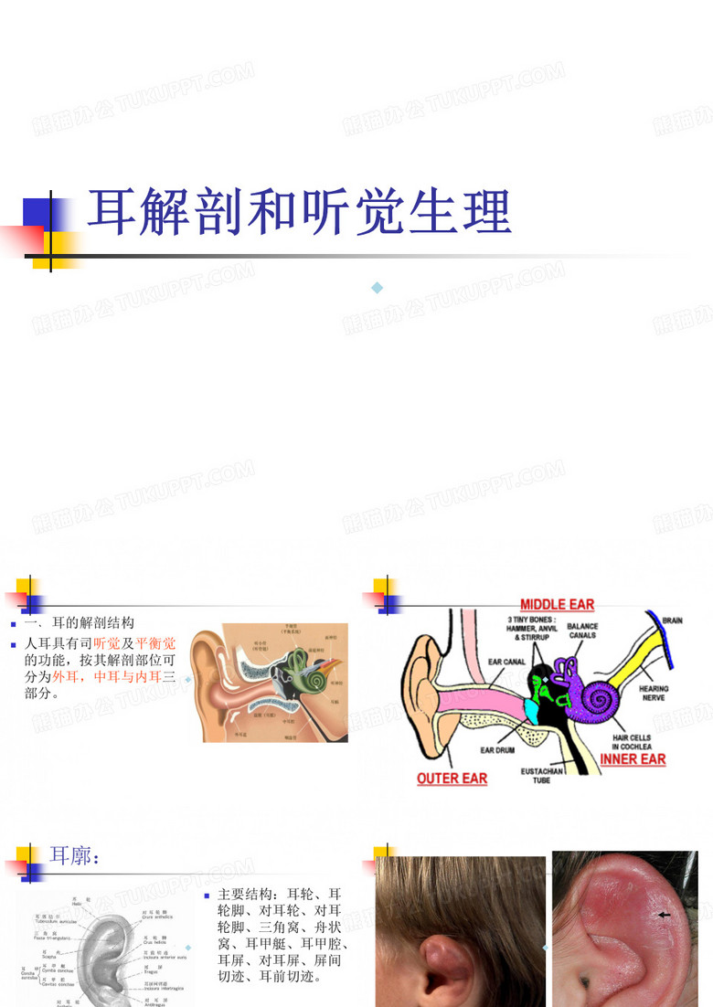耳解剖及生理