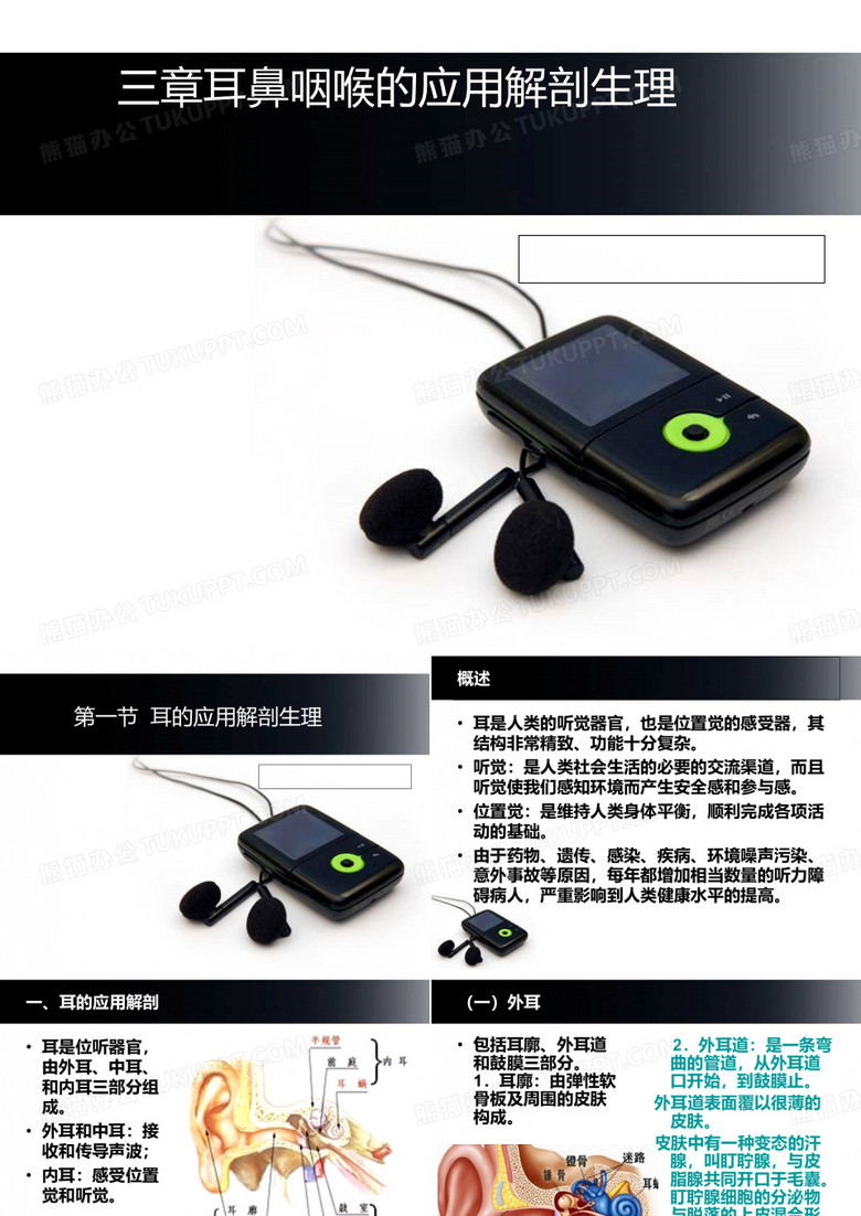 耳解剖与生理