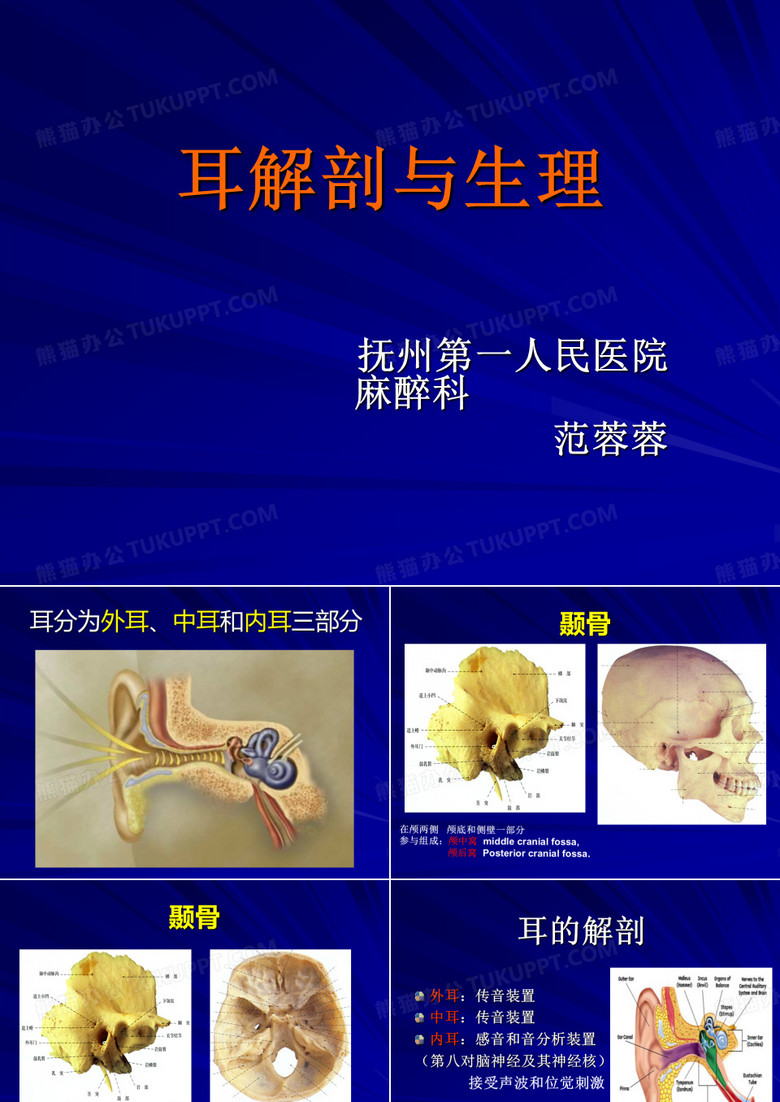 1.8耳的解剖与生理