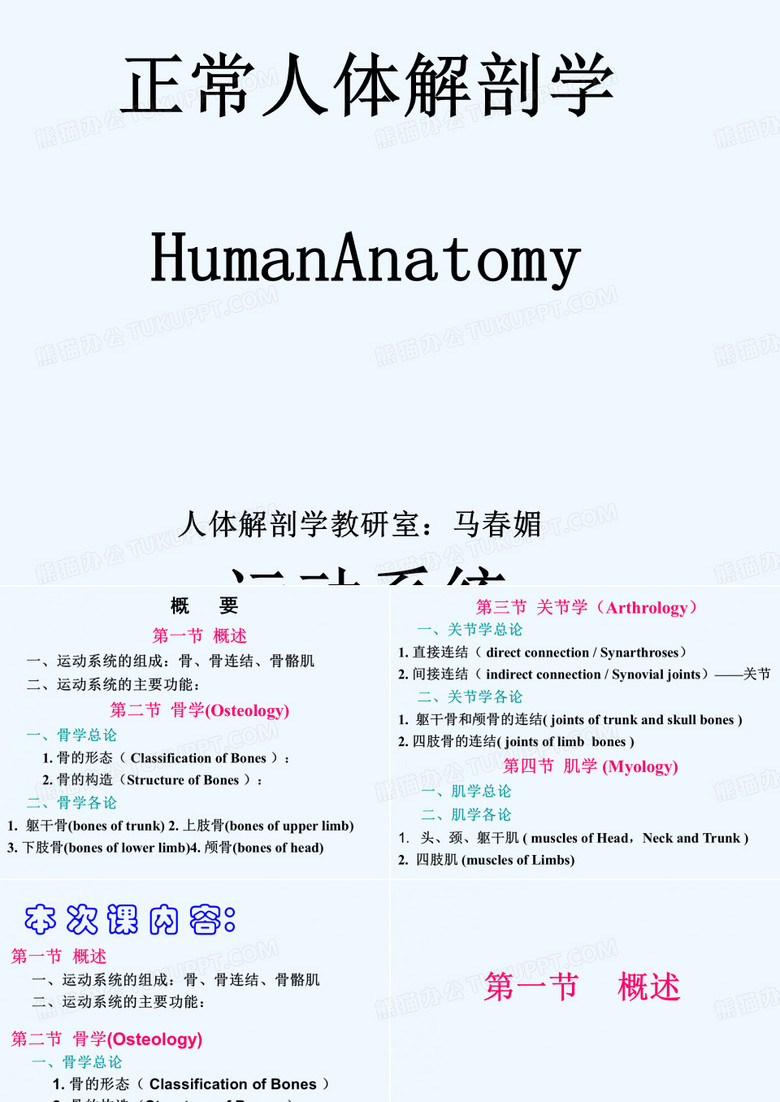 骨学总论)