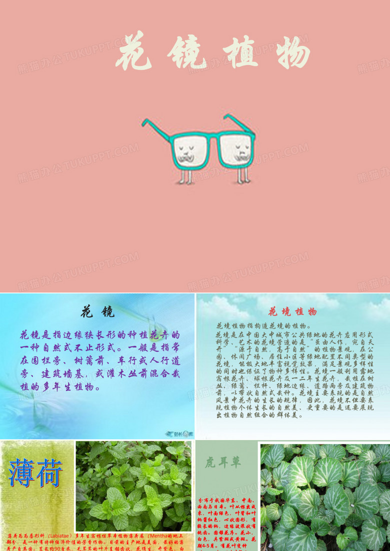 花镜植物