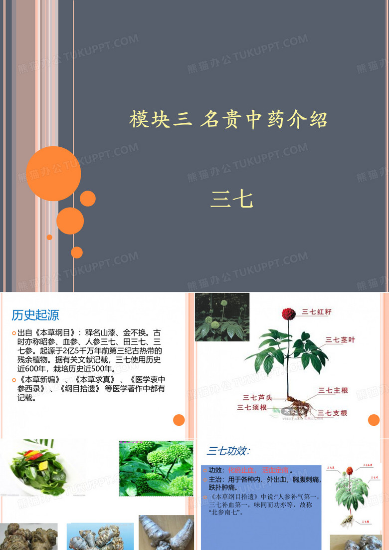 三七介绍