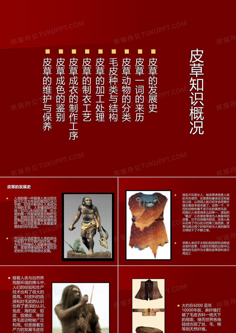 皮草知识