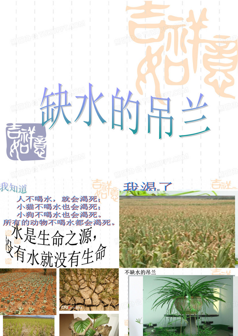 缺水的吊兰