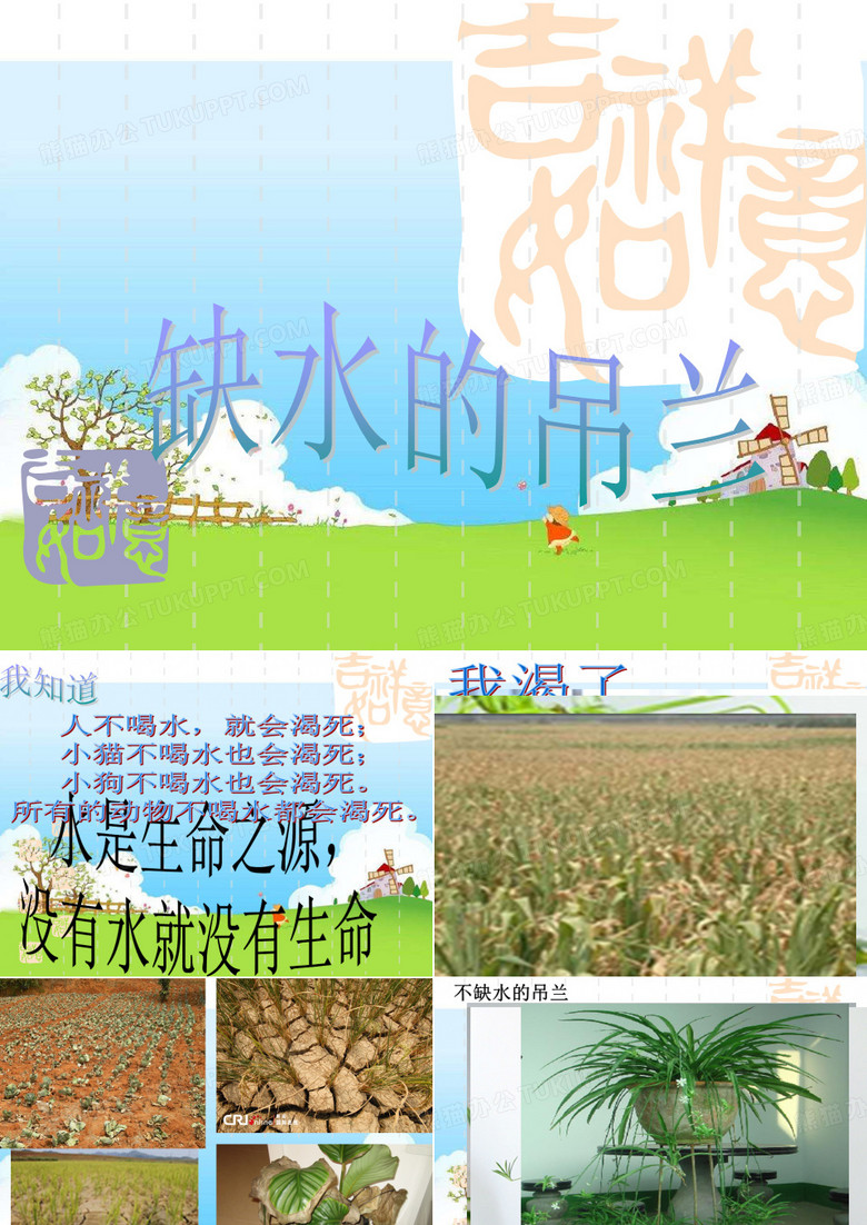 缺水的吊兰(1)