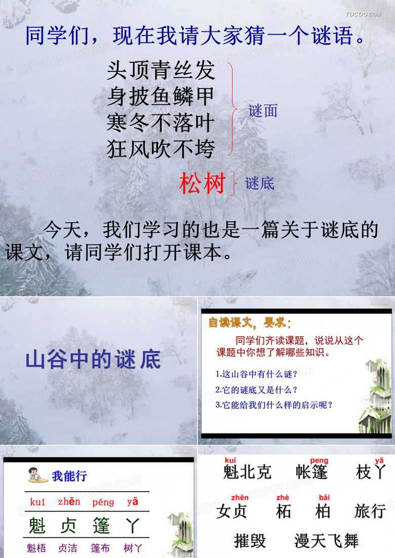 《山谷中的谜底》课件