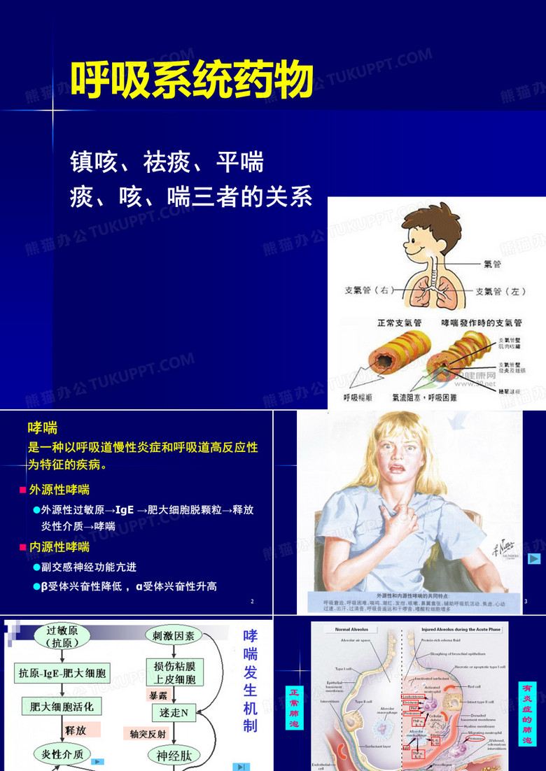 作用于呼吸系统的药物